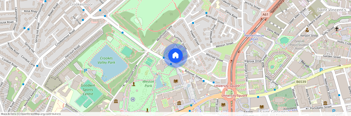 86 Winter St, S3 7EL, Sheffield