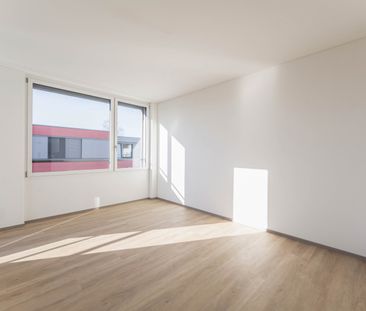 "TRIO - HIER WILL ICH LANDEN" - Foto 1