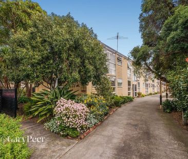 Magnificent on Murrumbeena - Ground Floor Apartment - Photo 5