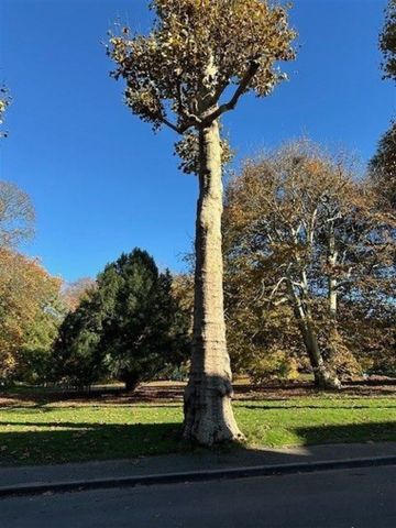 Gelijkvloers appartement te huur in Gent - Foto 4