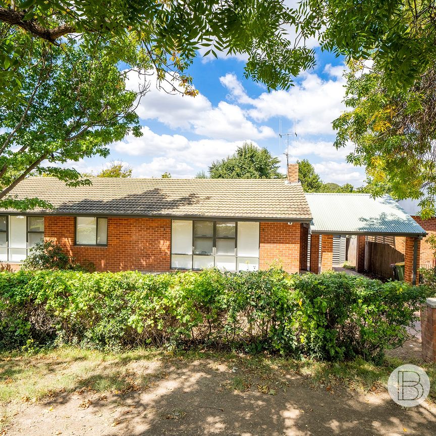 19 Scott Street, Narrabundah ACT 2604 - House For Rent | Domain - Photo 1