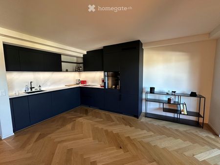 Apartment close to Irchelpark - Foto 2