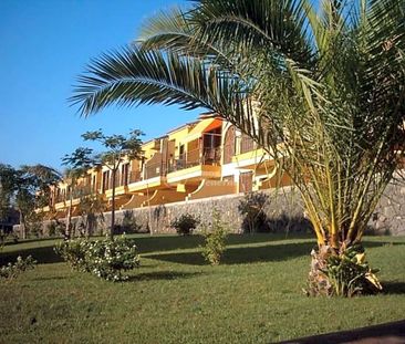 1-Bedroom Apartment for Rent in Las Galletas - Photo 2