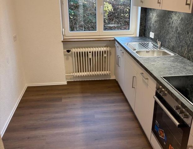 Neu renovierte 3-Zimmer Wohnung in Ansbach /ruhige, zentrale Lage - Foto 1