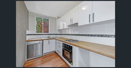 Light and Bright First Floor 2 Bedroom Unit with Lock Up Garage - Photo 4