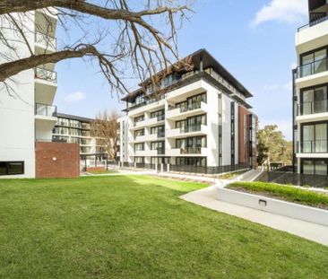 135/19 Captain Cook Crescent, Griffith - Photo 6