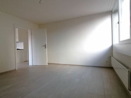 Apartment in Altstetten-Zürich - Photo 2
