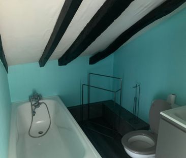 Location Appartement 2 pièces 20m² LIMOGES 87000 - Photo 2