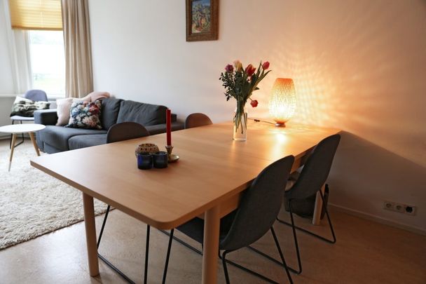Te huur: Appartement Koningslaan in Utrecht - Photo 1