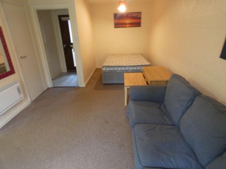 1 bed studio flat to rent in SR2 - Photo 3