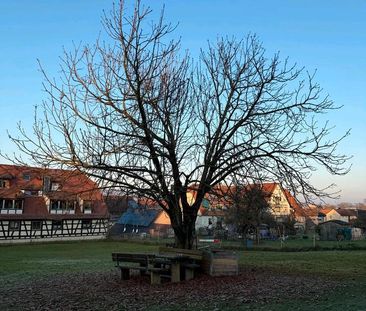 Wohnung zu vermieten - Foto 1