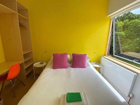 3 bedroom house to rent - Photo 5