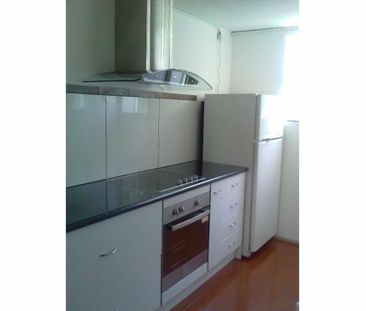 Spacious Ground Floor Unit - Photo 2