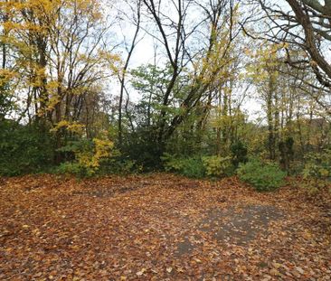 1 bedroom semi-detached house to rent - Photo 1