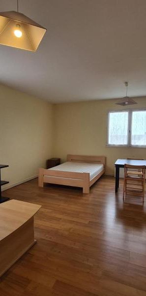 Location Appartement 1 pièce 36m² ST LAMBERT LA POTHERIE 49070 - Photo 1