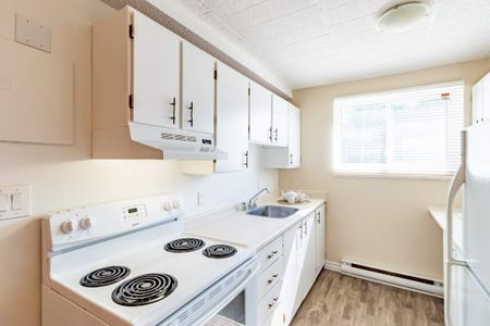 Boundary Place Apartments - ALL INCLUSIVE - Photo 4