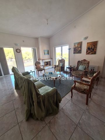 Μεζονέτα 215 τ.μ. προς ενοικίαση - Photo 3