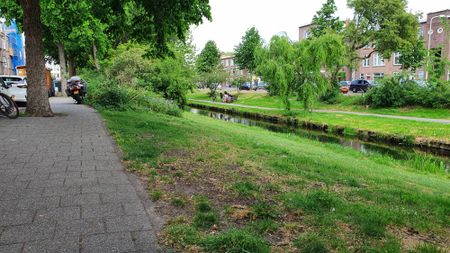 Mient, 97, 2564KH, Den Haag - Photo 5