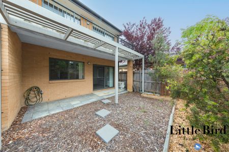 41/35 Tay Street, Watson ACT 2602 - Apartment For Rent | Domain - Photo 4