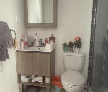 Session de bail - Photo 4