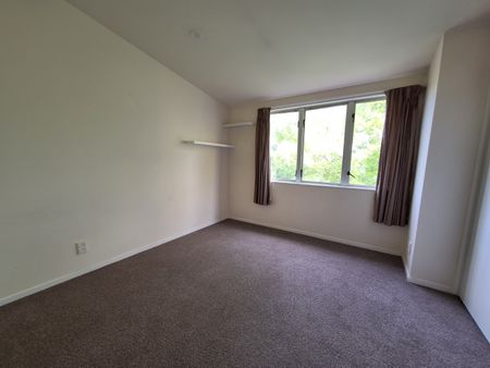 Mt Eden 2 Bedroom Terrace Home - Photo 2