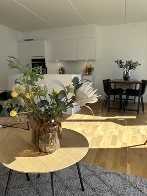 Hollænderen 6, 3. TH - Foto 1