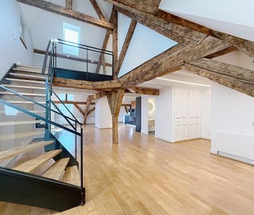 Magnifique appartement sytle Loft, entièrement rénové, au coeur de ... - Foto 3
