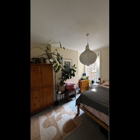 Room in a Shared Flat, Hargrave Mansions, N19 - Photo 3