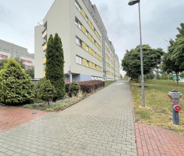 Pronájem bytu 1+kk 39 m2 - Fotografie 5