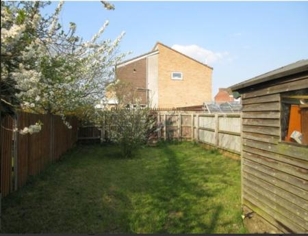 3 bedroom semi-detached house to rent - Photo 5