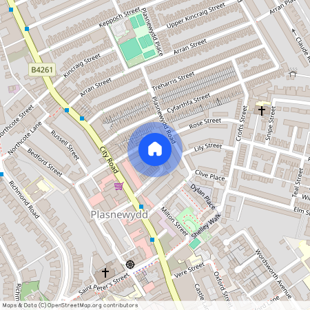 Talworth Street, CF24 3EJ, Roath