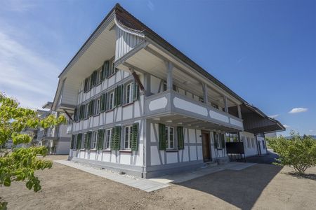 Rent a 2 ½ rooms apartment in Roggwil - Foto 3