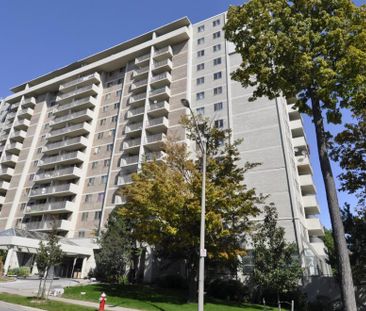 Silver Spear - Photo 6