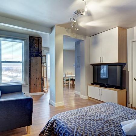 Loft entièrement meublé à louer Saint-Jean-Baptiste janvier 2026 - Photo 4