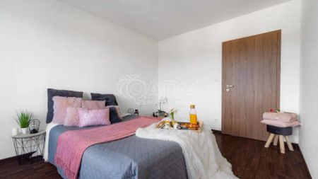 Pronájem bytové jednotky 2+1(55 m - Photo 2