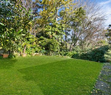 Remuera Perfection - Photo 5