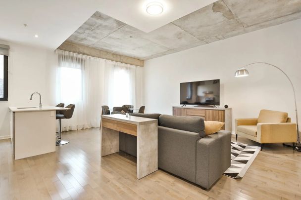 4485 Rue St-Dominique, app.101, Le Plateau-Mont-Royal (Montréal) - Photo 1