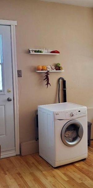 Grand 3.1/2 a louer - Photo 1