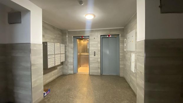 Szczepin - 2 Pokoje | Pełen rozkład |Bez prowizji - Photo 1