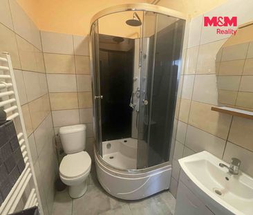 Pronájem bytu 2+kk 102 m², Ledce - Photo 5