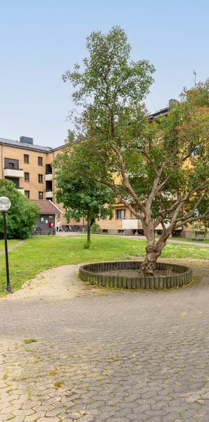 Rådmansgatan 3 - Photo 2