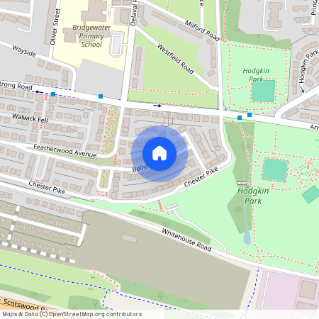 Bellshiel Grove, Newcastle Upon Tyne NE15