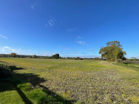 2 bedroom bungalow to rent - Photo 2