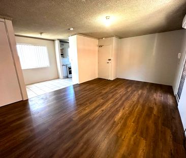 !! 1st floor unit – bedrooms will have brand new carpet !! - Photo 5