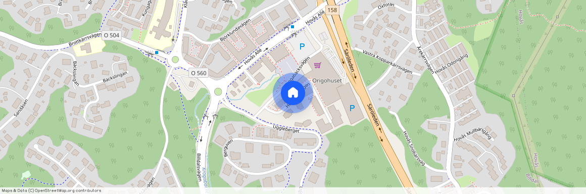 Hedtångsvägen, Hovås