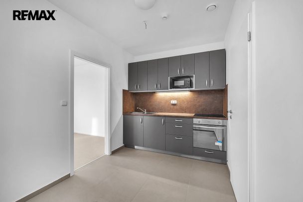 Pronájem bytu 2+1 v osobním vlastnictví 57 m², Luštěnice - Fotografie 1