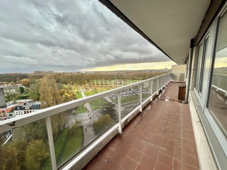 Centraal gelegen 3-slaapkamer appartement met terras te huur op toplocatie in Borgerhout! - Photo 2