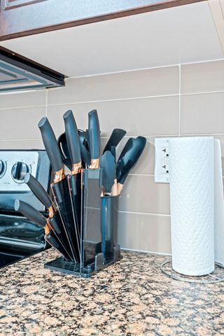 Fort York Boulevard - Photo 5