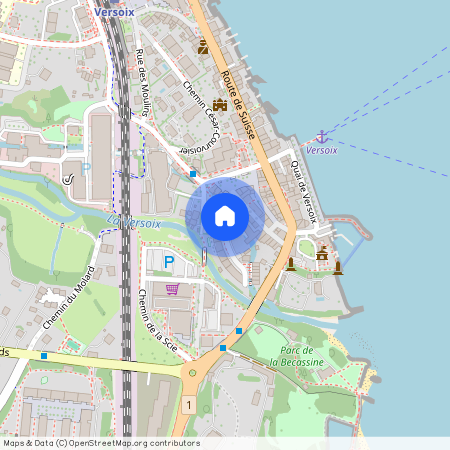 Rue du Vieux-Moulin, 1290 Versoix