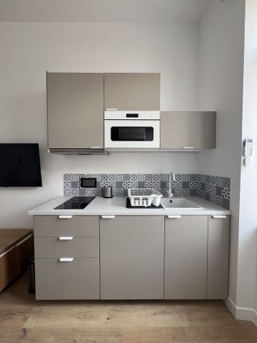 Location Appartement 1 pièce 18m² MONTIGNY LES METZ 57950 - Photo 3